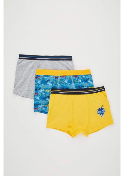 Erkek Çocuk 3'lü Boxer B4979A823AU fırsatları