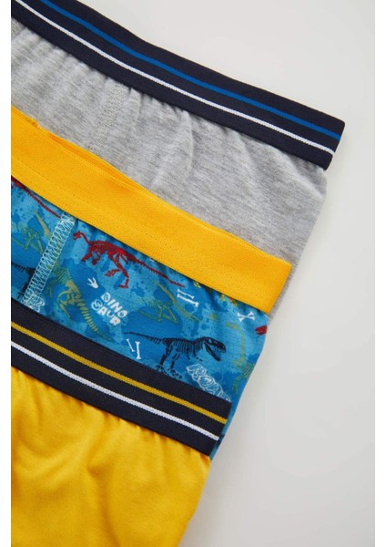 Erkek Çocuk 3'lü Boxer B4979A823AU indirimleri