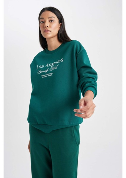 Relax Fit Bisiklet Yaka Kalın Sweatshirt A7779AX23AU