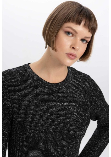 Regular Fit Bisiklet Yaka Simli Kumaş Kazak L1679AZ23WN