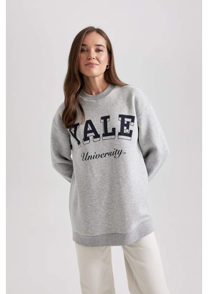 Regular Fit Bisiklet Yaka Baskılı İçi Yumuşak Tüylü Sweatshirt Tunik B5721AX23WN