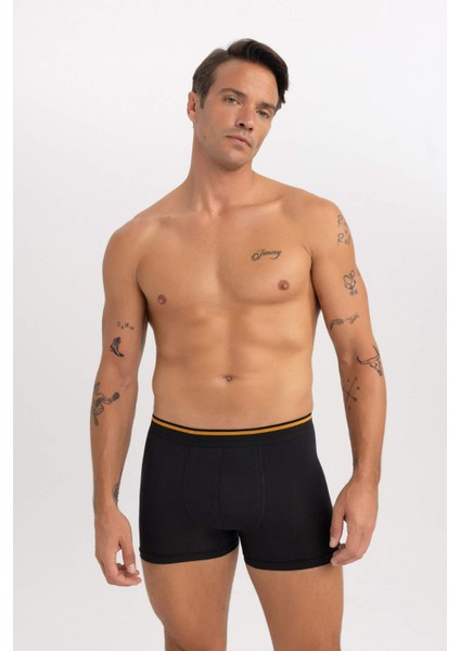 Regular Fit 3'lü Boxer A5993AX23AU fiyatları