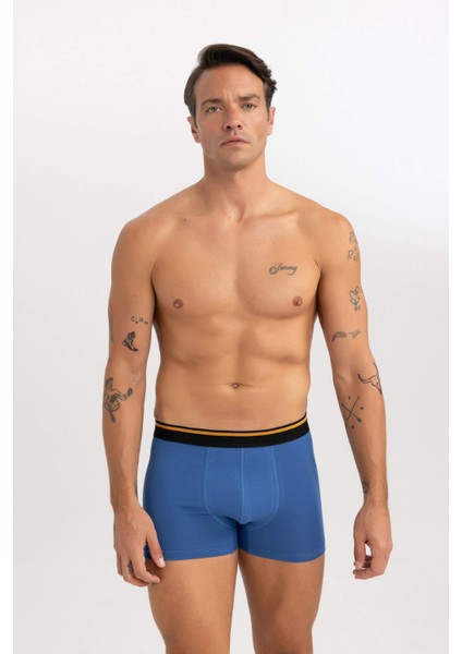 Regular Fit 3'lü Boxer A5993AX23AU indirimleri