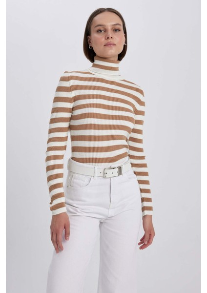 Slim Fit Çizgili Balıkçı Yaka Triko Kazak A2059AX23AU