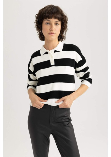 Regular Fit Çizgili Polo Yaka Kazak A2357AX23AU modelleri