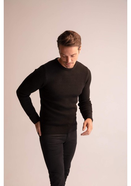 Regular Fit Bisiklet Yaka Triko Kazak N9902AZ22WN