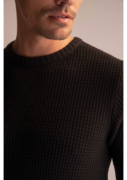 Regular Fit Bisiklet Yaka Triko Kazak N9902AZ22WN modelleri