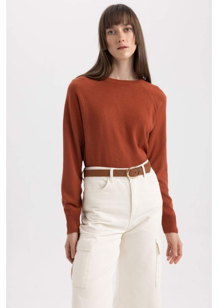 Regular Fit Bisiklet Yaka Kazak I6913AZ23WN