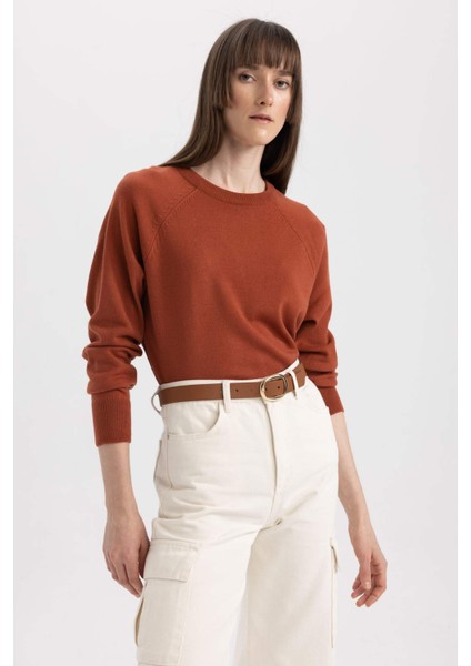 Regular Fit Bisiklet Yaka Kazak I6913AZ23WN modelleri