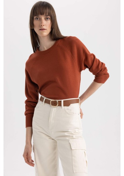 Regular Fit Bisiklet Yaka Kazak I6913AZ23WN fırsatları