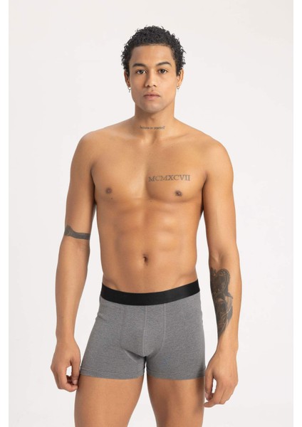 Regular Fit 3'lü Boxer K7635AZ24SM