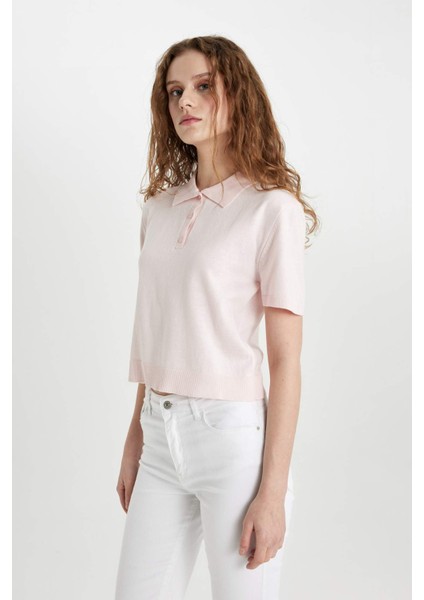 Regular Fit Polo Yaka Kısa Kollu Triko Tişört C4534AX24SM
