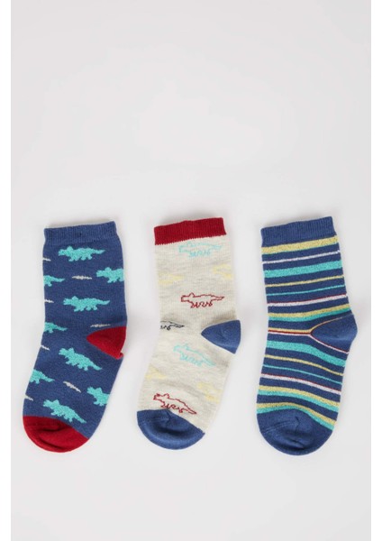 Erkek Bebek 3'lü Pamuklu Uzun Çorap