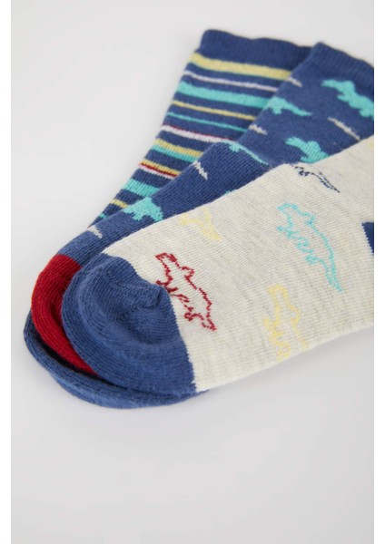 Erkek Bebek 3'lü Pamuklu Uzun Çorap modelleri