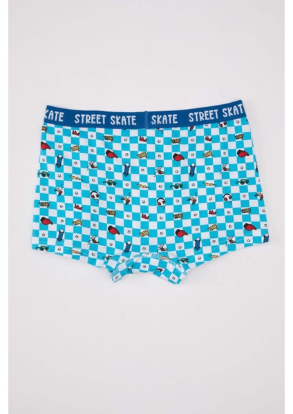 Erkek Çocuk 3'lü Boxer B8424A824SP