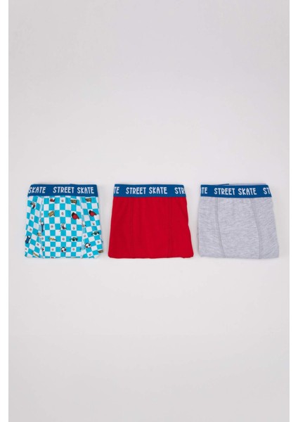 Erkek Çocuk 3'lü Boxer B8424A824SP