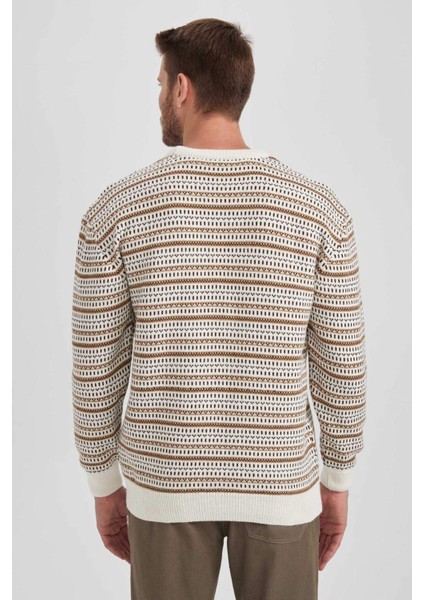 Standart Fit Normal Kesim Desenli Bisiklet Yaka Triko Kazak B1448AX23WN indirimleri