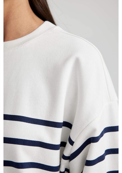 Relax Fit Çizgili Bisiklet Yaka Sweatshirt A9255AX23WN indirimleri