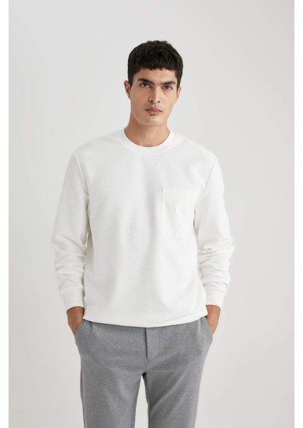 %100 Pamuk Regular Fit Bisiklet Yaka Dokulu Cepli Sweatshirt B6497AX24SP fiyatları