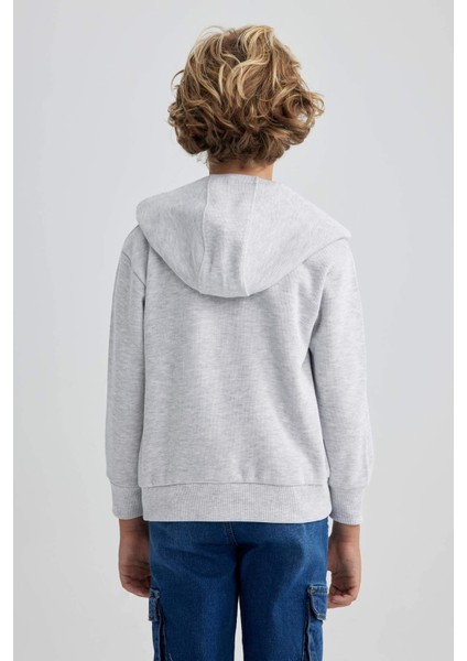 Erkek Çocuk Kapüşonlu Hırka A2547A823AU indirimleri