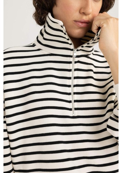 Regular Fit Dik Yaka Yarım Fermuarlı Kalın Çizgili Kalın Sweatshirt A8354AX23WN