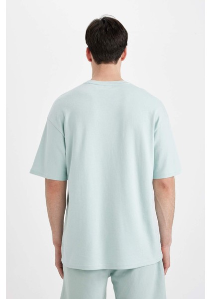 Art Hokusai Comfort Regular Fit Rahat Kalıp Bisiklet Yaka Ağır Kumaş Kısa Kollu Tişört A8916AX24SP indirimleri
