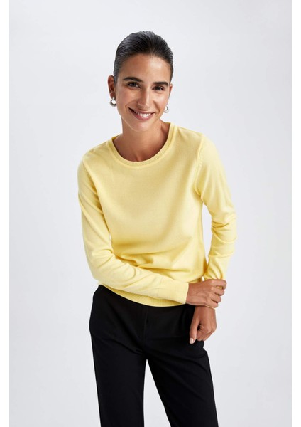 Regular Fit Bisiklet Yaka Ekstra Yumuşak Kaşmir Dokulu Kazak F7091AZ22WN fırsatları