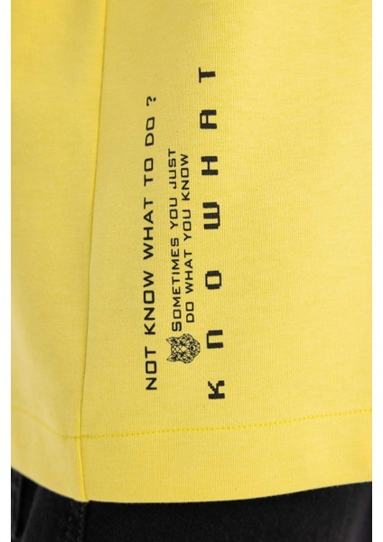 Loose Fit Bisiklet Yaka Cepli Baskılı Kısa Kollu Ağır Kumaş Tişört B8126AX23CW indirimleri