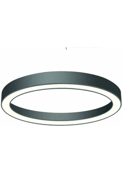 Yuvarlak Lineer Aydınlatma Siyah Kasa Beyaz Işık 50 cm Simit LED Armatür