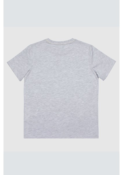 Erkek Çocuk T-Shırt-Gri fiyatları