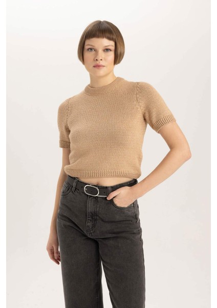 Fitted Bisiklet Yaka Kısa Kollu Triko Kazak C2056AX23CW fırsatları