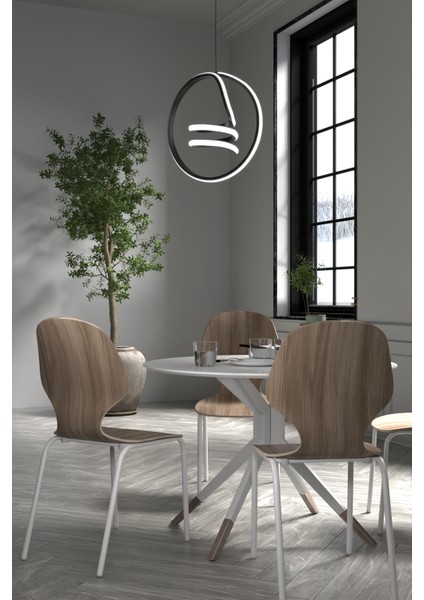 -Dream Model - Siyah Kasa -Beyaz Işık