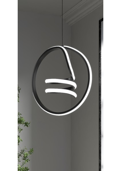 -Dream Model - Siyah Kasa -Beyaz Işık modelleri