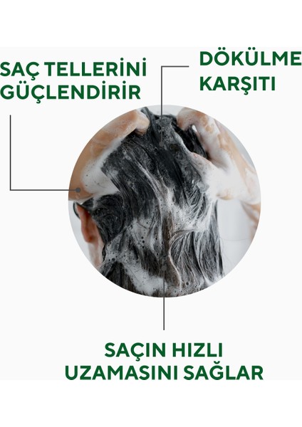 The Ceel Biberiye Şampuanı Hızlı Uzamaya Yardımcı Keratin BiotinKolajen Özlü 250 ml