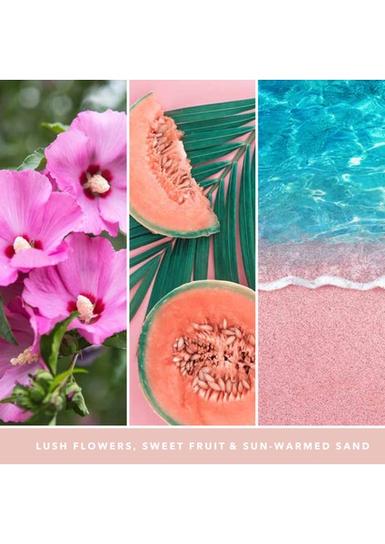 Pink Sands Tumbler Multiwick Mum modelleri