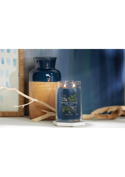 Bayside Cedar Signature Büyük Mum