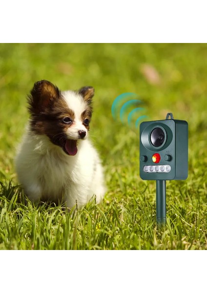 Güneş Enerjili Ultrasonik Hayvan Kovucu Cihaz Açık Hava Flaş Sürücüsü Vahşı Hayvan Kuş Köpek Kedi Yılan Fare Korkutucu Bahçe Kovucuları (Yurt Dışından) fiyatları