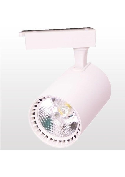 30 Watt Beyaz Kasa Ray Spot ERK3715