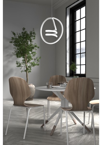 -Dream Model - Beyaz Kasa - Beyaz Işık