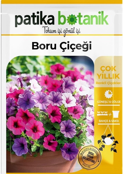 100 Adet Boru (Petunya) (Petunia) Çiçek Tohumu fiyatları