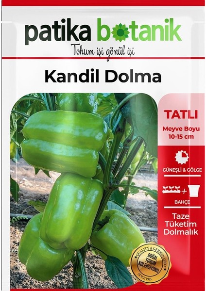 200 Adet Kandil Dolma Biber Tohumu