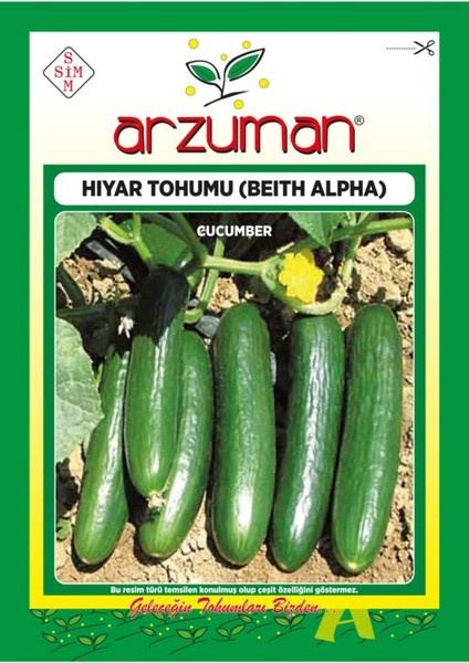 Beith Alpha Hıyar Tohumu 300 Tohum 10 Gram