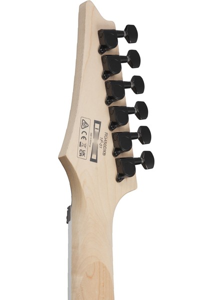 RG450DXB-WH Elektro Gitar