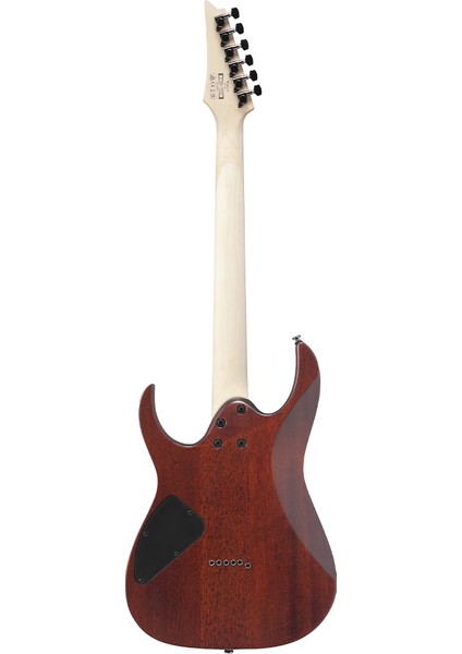 RG421S-SEM Elektro Gitar fiyatları