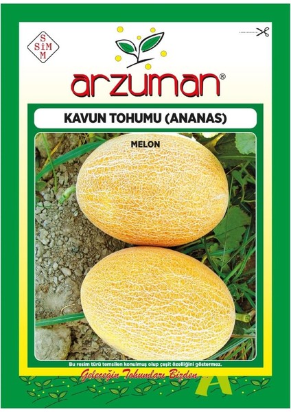 Ananas Kavun Tohumu 250 Tohum 10 Gram