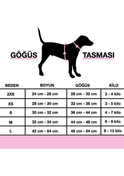 Kişiye Özel Köpek Tasma Seti Isimli Köpek Göğüs Tasması Köpek Boyun Tasması Köpek Gezdirme Kayışı