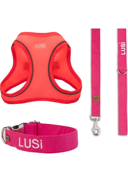 Kişiye Özel Köpek Tasma Seti Isimli Köpek Göğüs Tasması Köpek Boyun Tasması Köpek Gezdirme Kayışı