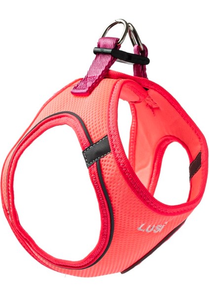 Kişiye Özel Köpek Tasma Seti Isimli Köpek Göğüs Tasması Köpek Boyun Tasması Köpek Gezdirme Kayışı modelleri