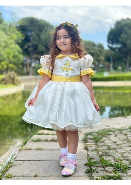 Sarı Papatya Vintage Kız Bebek Elbise,Doğum günü elbise,fotoğraf çekim elbise,0-12 Yaş Uygun modelleri