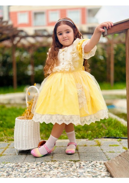 Sarı Ayıcıklı Kız Bebek Elbisesi,doğum Günü Elbisesi, Fotoğraf Çekim Elbisesi,0-10 Yaşa Uygun